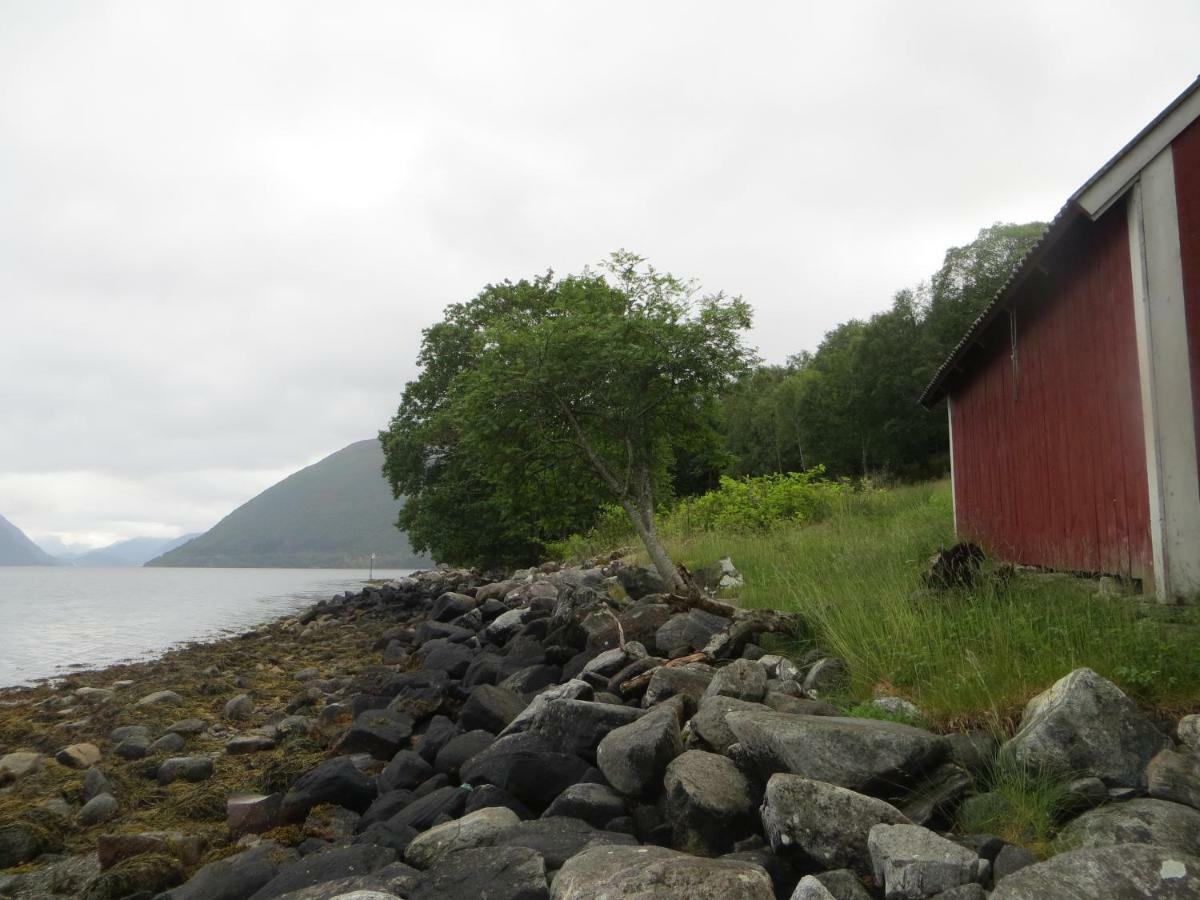 LauvstadTiny House With Fjordview!别墅 外观 照片